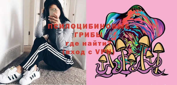 спиды Алзамай