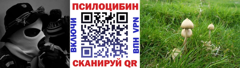 как найти закладки  Малаховка  Псилоцибиновые грибы Magic Shrooms 